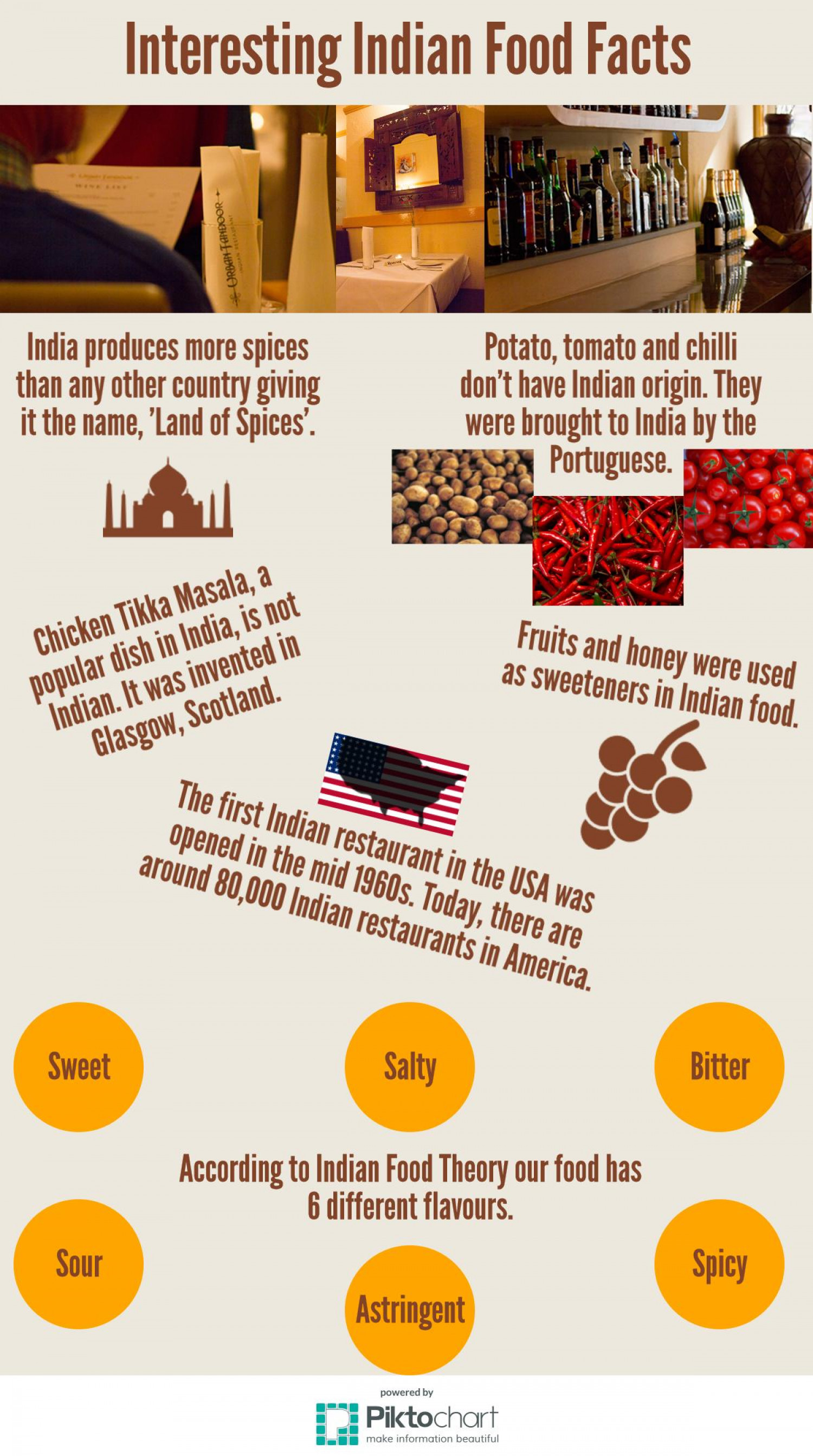 Indian Food Facts Infographic Infographic