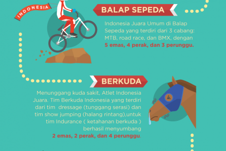 Indonesia Team Achievement on SEAGames 27 Infographic