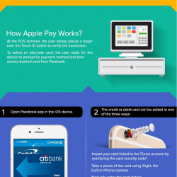 apple money infographic