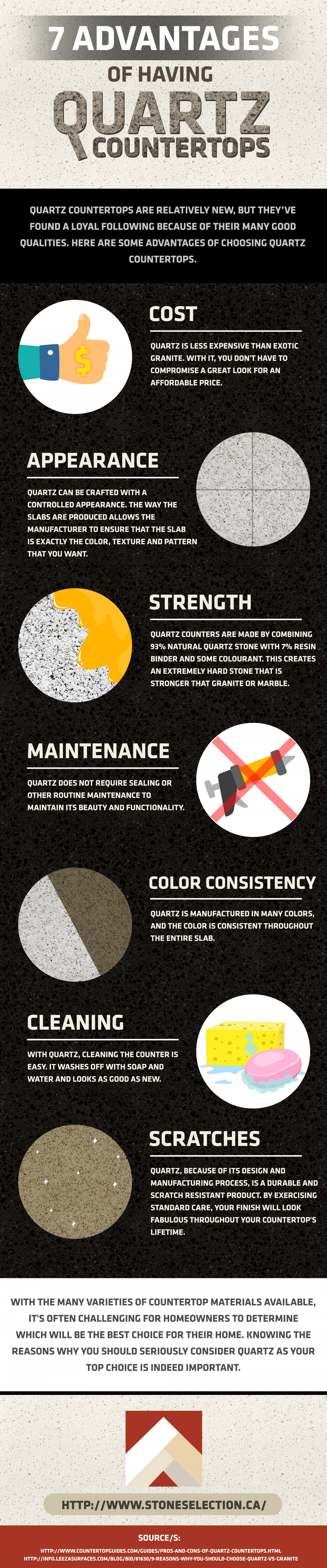 Infographics: What Makes A Quartz Countertop Special? Infographic