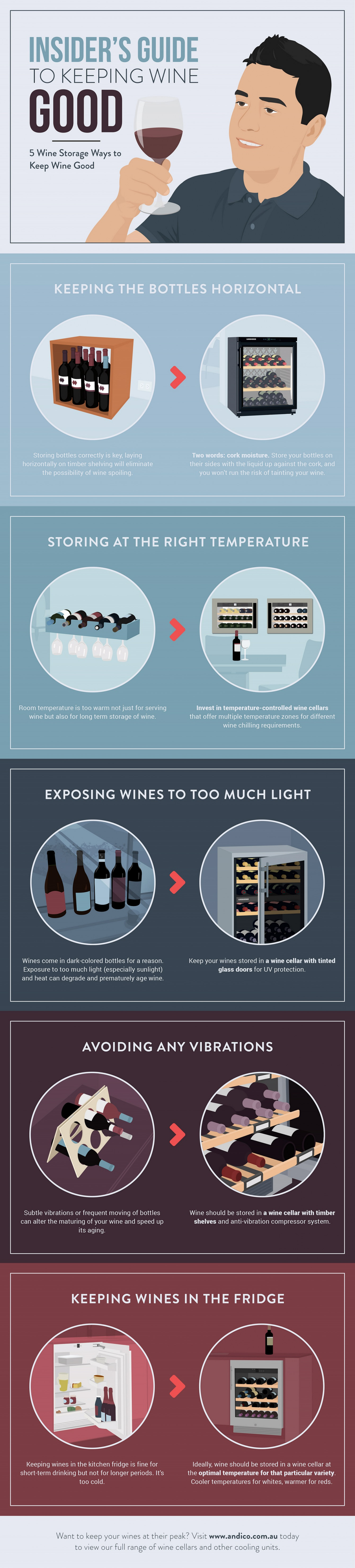 Insider's Guide to Keeping Wine Good Infographic