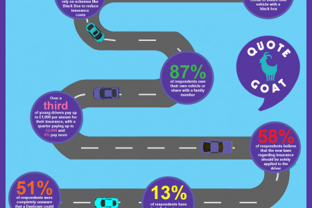 Insurance Without A Black Box Survey Infographic Infographic