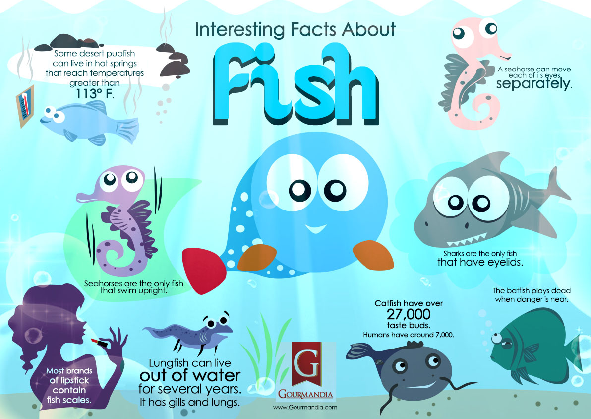 Fish Pictures & Facts