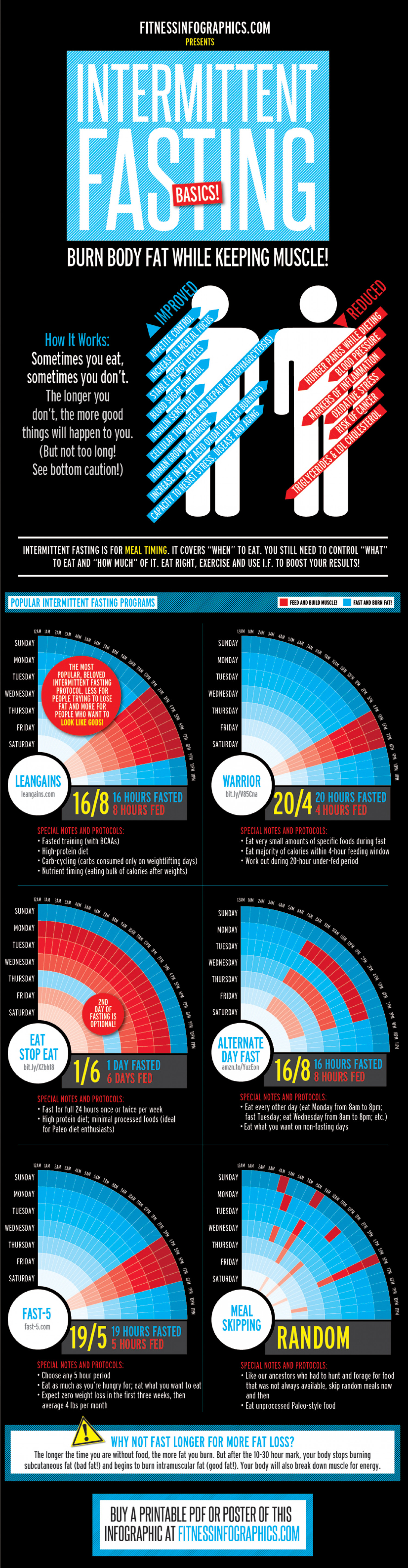 Intermittent Fasting Basics Infographic