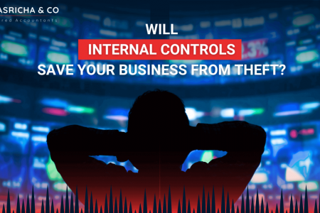 Internal Controls  Infographic