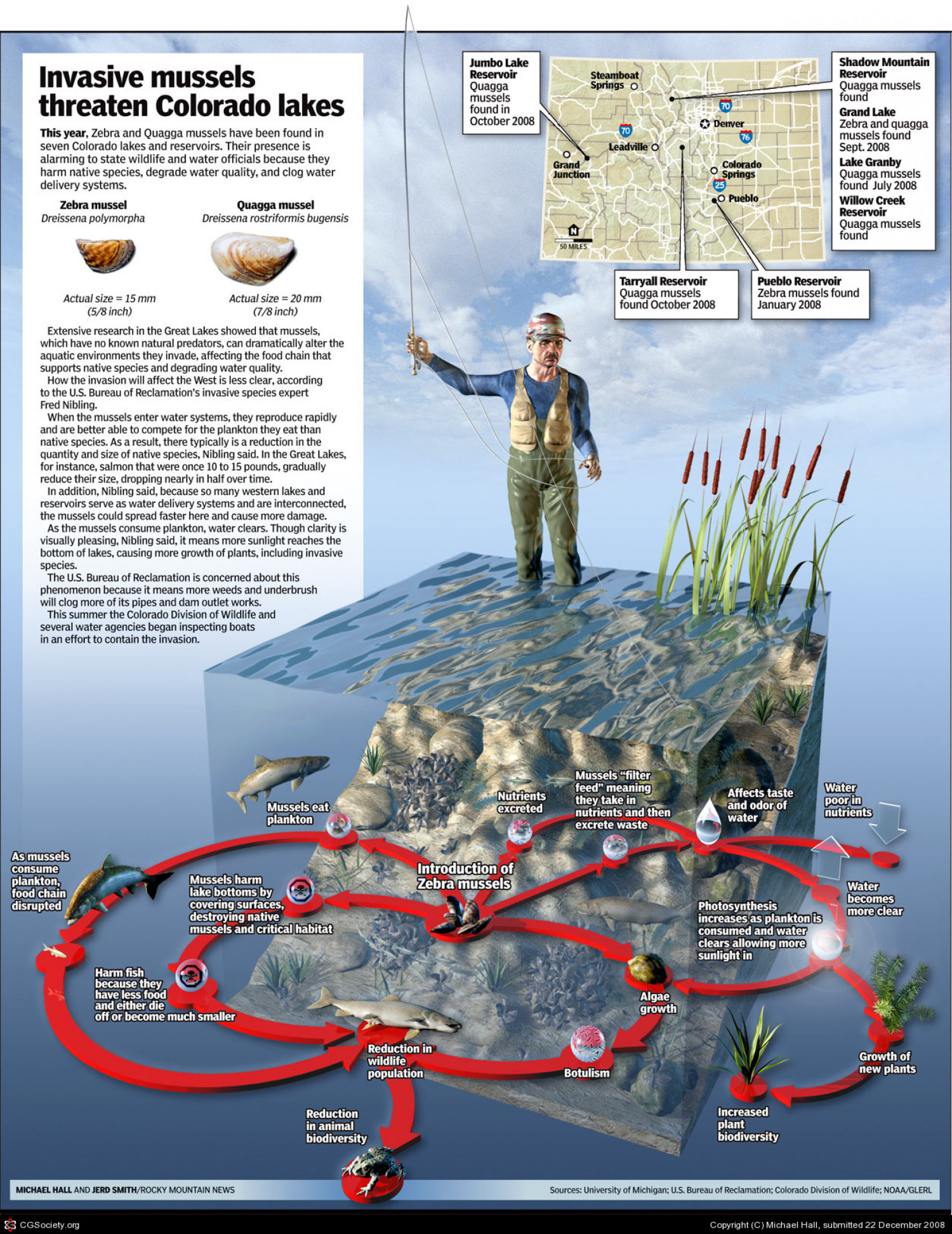 Invasive Mussels Threaten Colorado Lakes Infographic