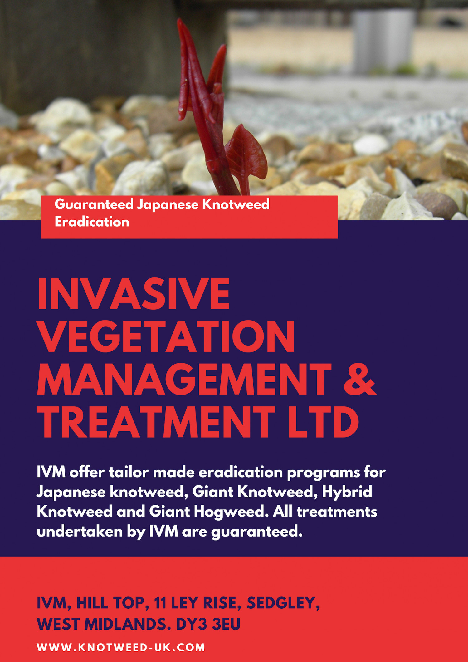 Invasive Vegetation Management & Treatment Ltd Infographic