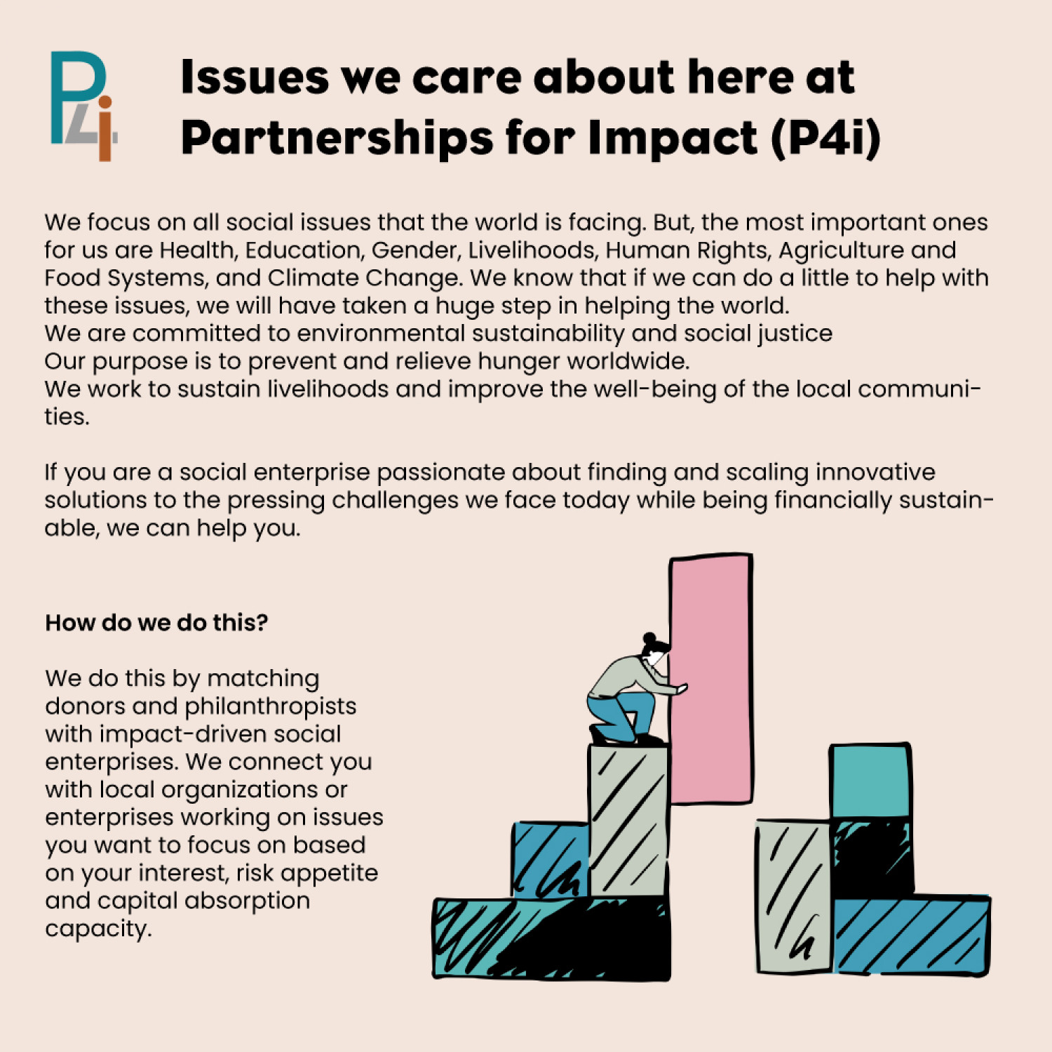 Issues we care about here at Partnerships for Impact (P4i) Infographic