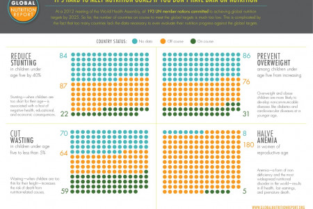 It’s Hard to Meet Nutrition Goals If You Don’t Have Data on Nutrition  Infographic