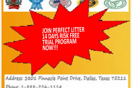 Join Perfect Litter For 14 Days Risk Free Trial Program Infographic