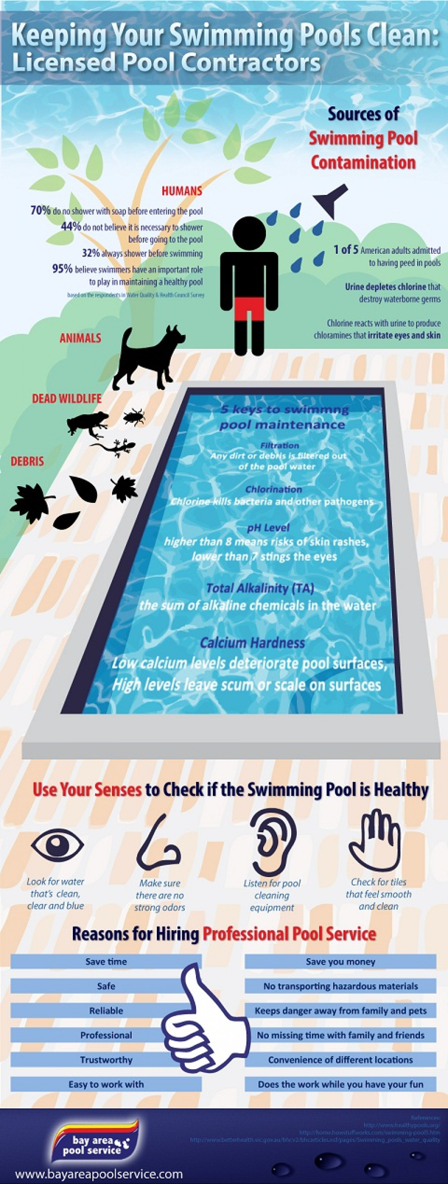 Keeping Your Swimming Pools Clean: Licensed Pool Contractors Infographic