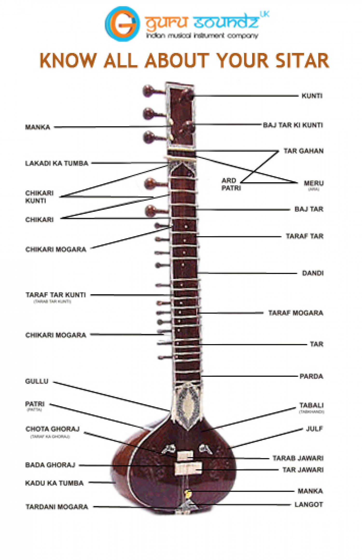 Know All About Your Sitar, The Great Musical Instrument Infographic
