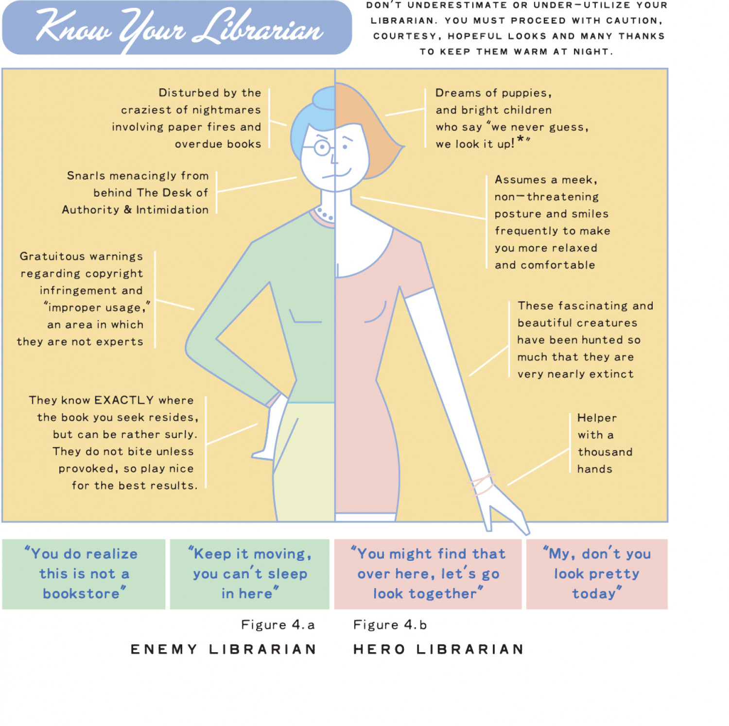Know Your Librarian Infographic