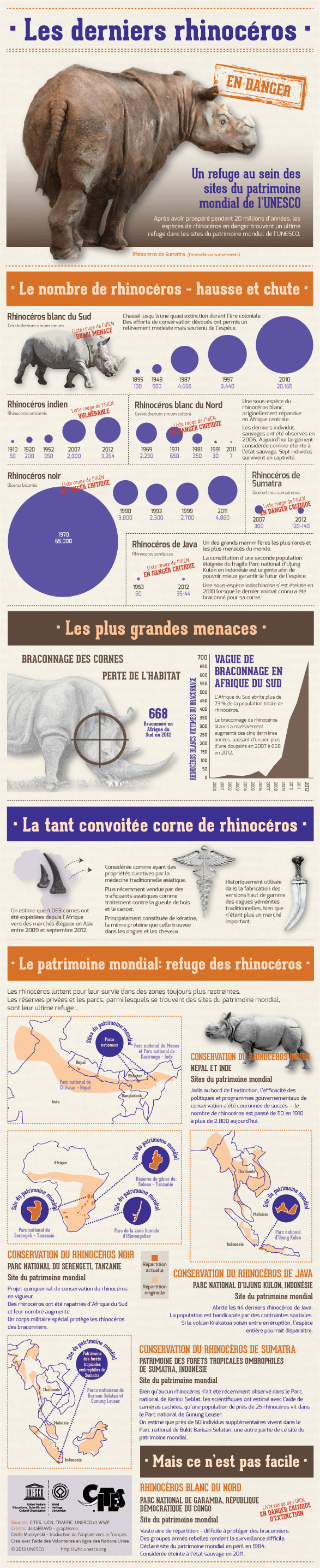 Les derniers rhinocéros Infographic