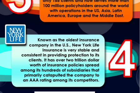 Life Insurance Infographic