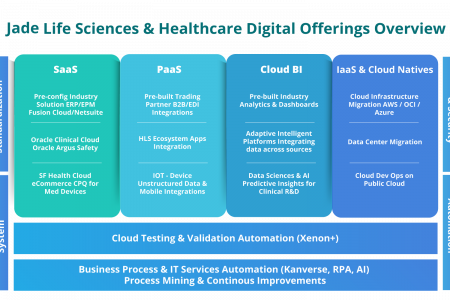 Life Sciences & Healthcare Digital Offerings Overview | Jade Infographic