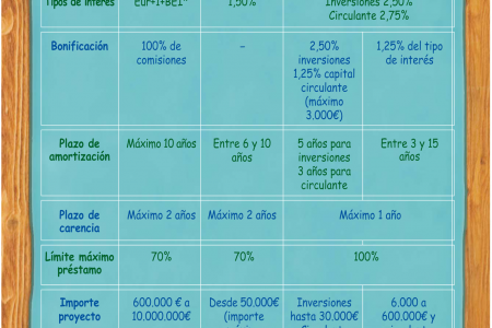 Lineas de ayuda de la Junta de Castilla y León a empresas y autonomos 2012 Infographic