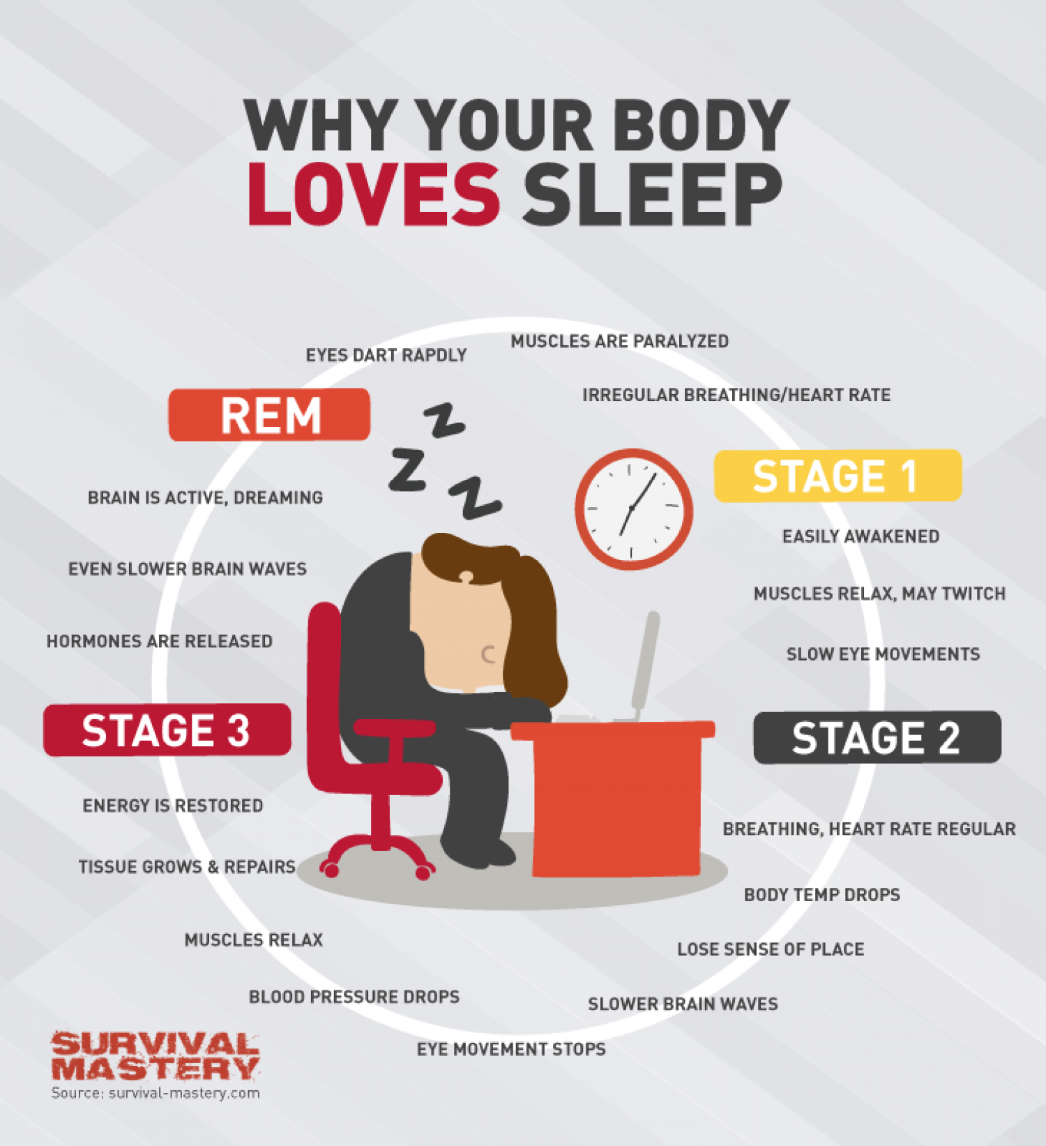 Body Loves Sleep Infographic Infographic
