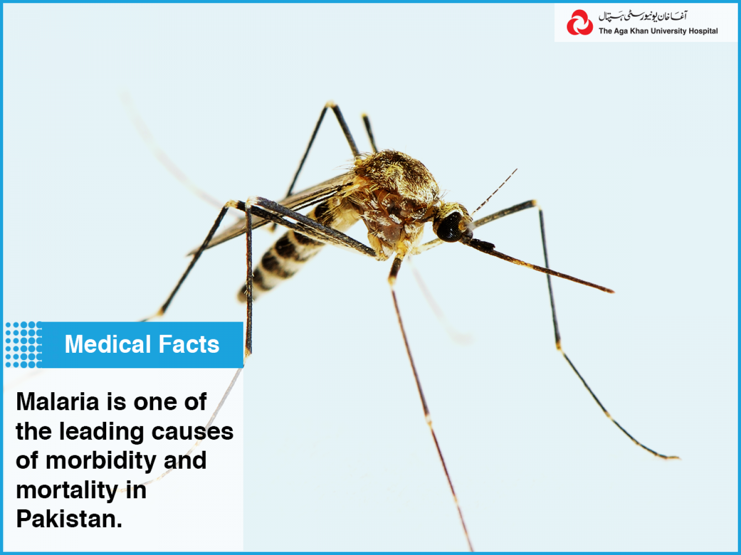 Malaria is one of the leading causes of morbidity and mortality in Pakistan. Infographic