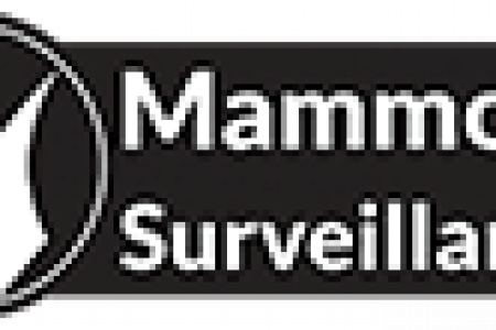 Mammoth Surveillance Camera Systems Infographic