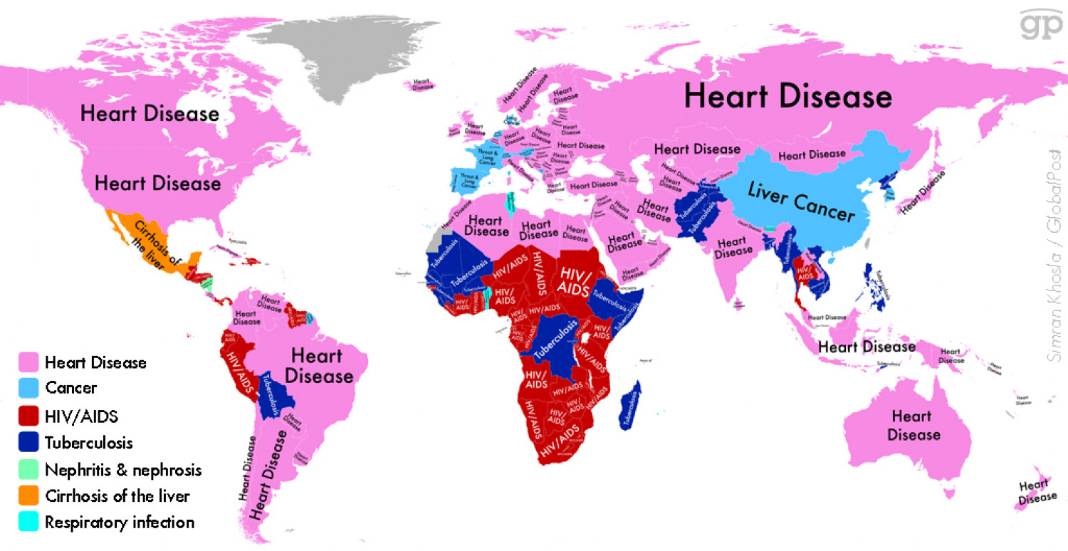 Map of Disease with the Highest Death Rate  Infographic