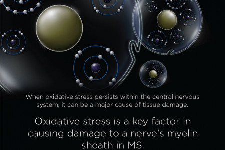 Mitochondria and Multiple Sclerosis Infographic