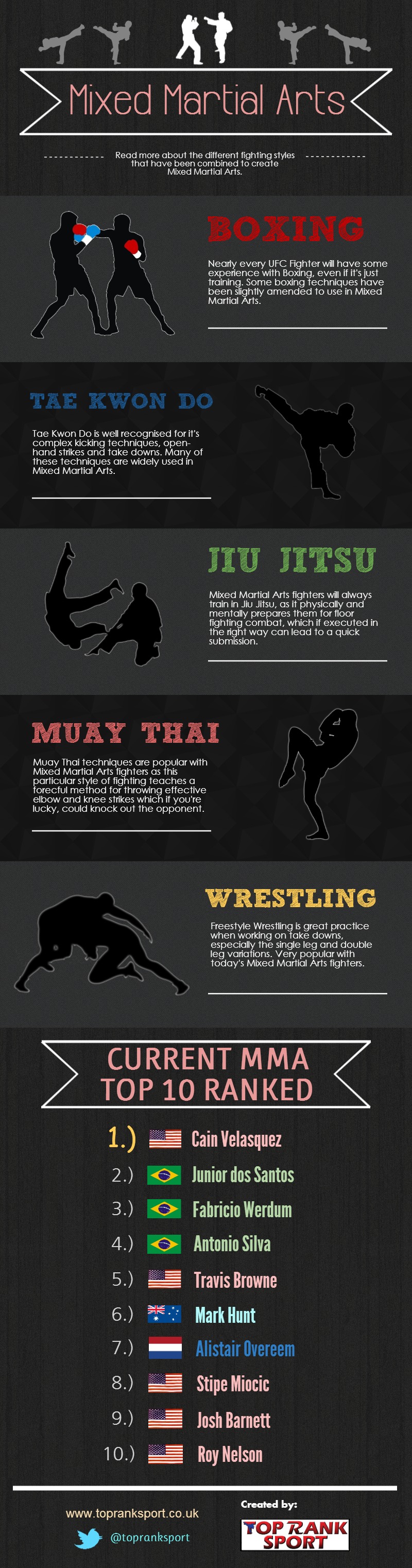 Mixed Martial Arts Fighting Styles