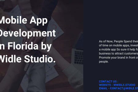 Mobile App Development Infographic
