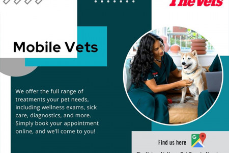 Mobile Vets Infographic