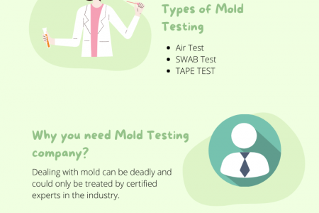 Mold Testing in GTA Infographic