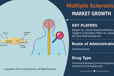 Multiple Sclerosis Market Overview 2021 | StraitsResearch Infographic