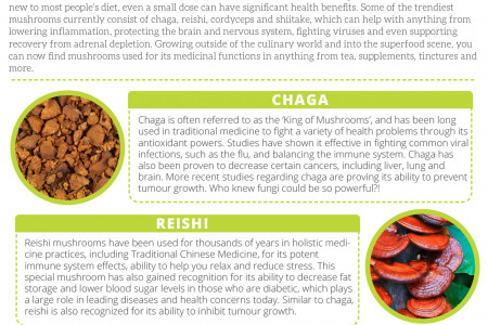 Mushrooms: The Stress-Busting Superfood Infographic