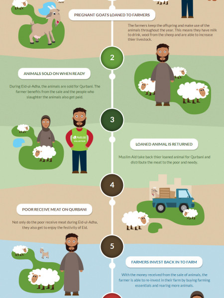 Muslim Aid - Livelihood Programme Infographic