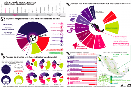 México país megadiverso Infographic