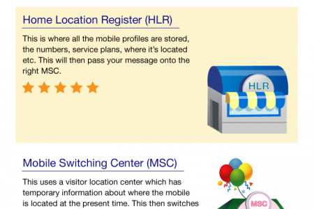 Mysteries of the SMS journey revealed  Infographic