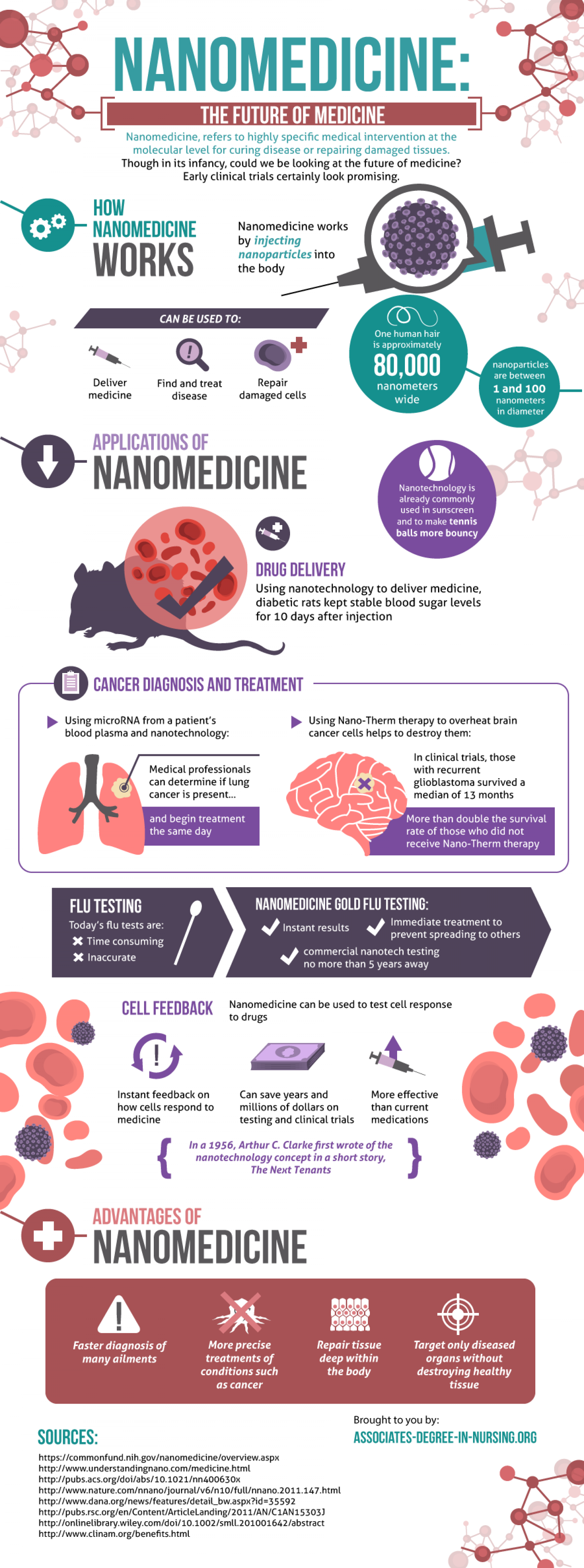 Nanomedicine: The Future of Medicine Infographic