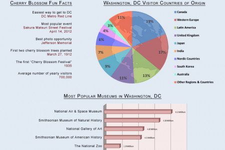 National Cherry Blossom Festival Infographic