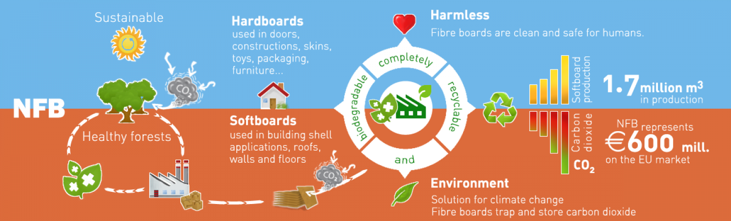 Natural Fiber Boards Infographic