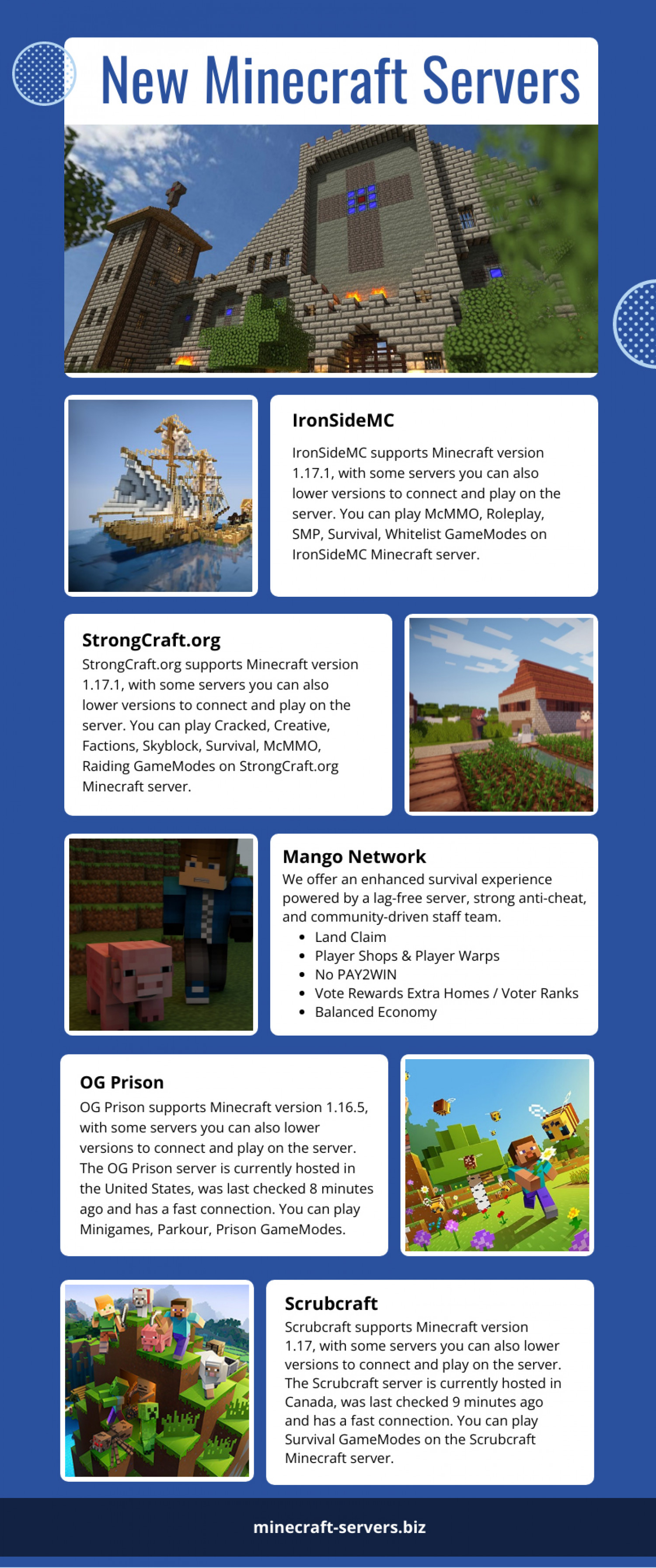 New Minecraft Servers Infographic