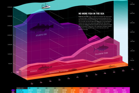 No more Fish in the Sea Infographic