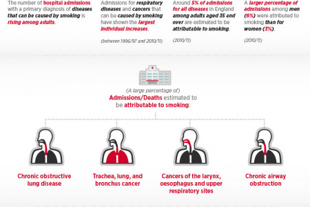 No Tobacco Day Infographic