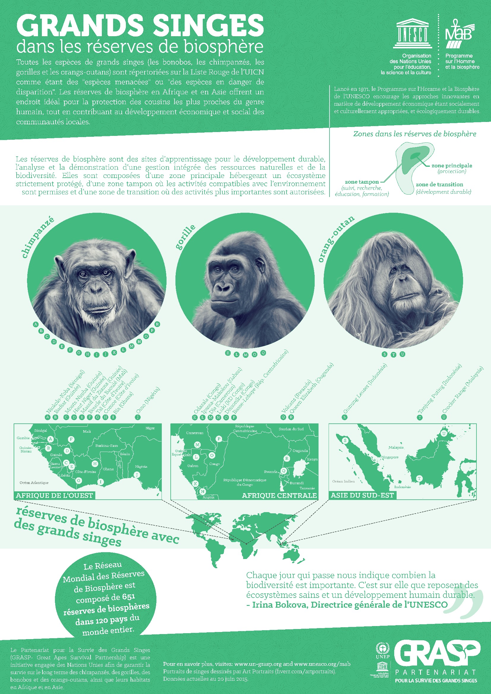 L'Unesco s'alarme de la situation critique des grands singes