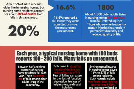 Nursing Home Abuse and Neglect Infographic