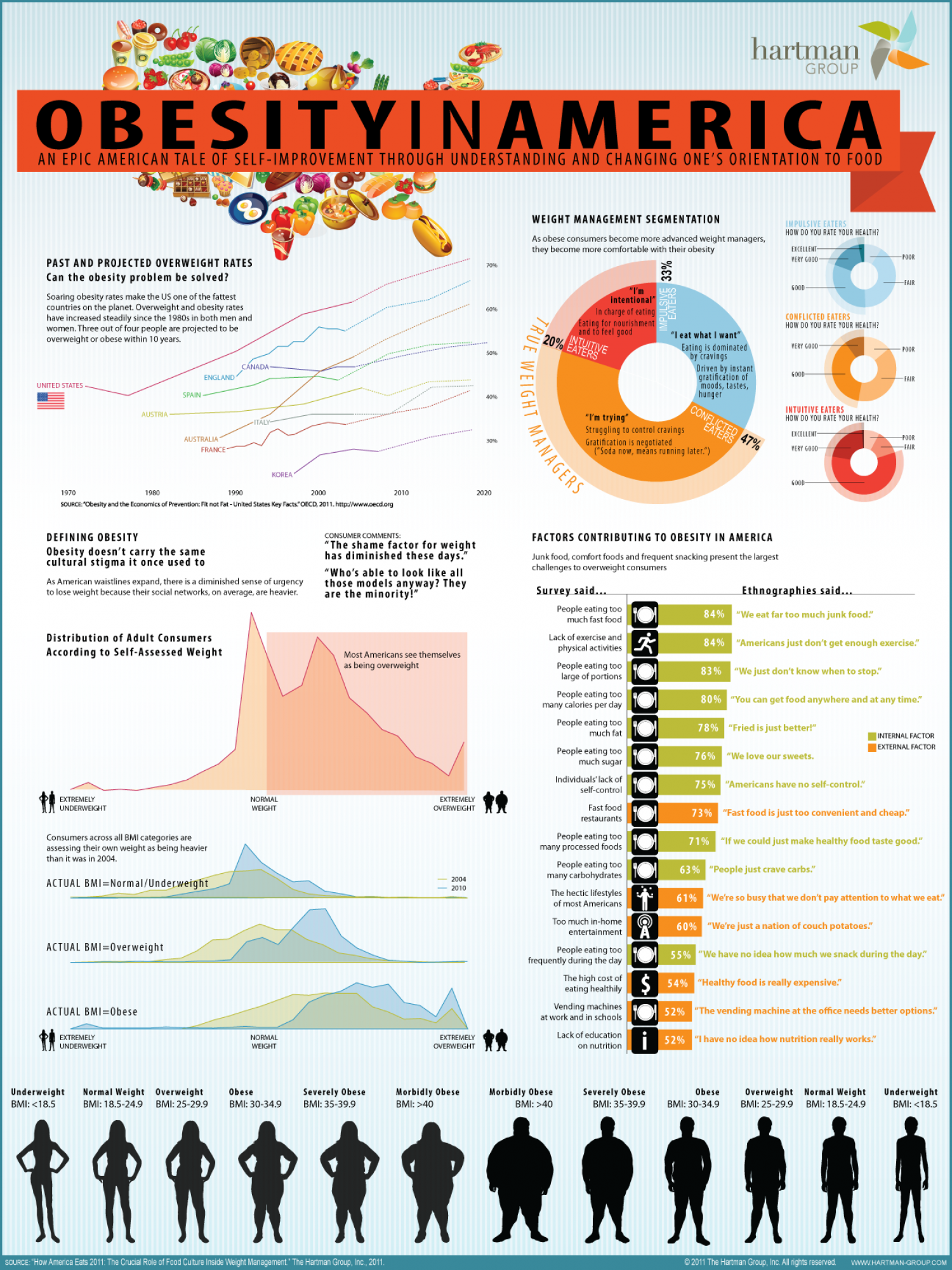 Obesity in America  Infographic