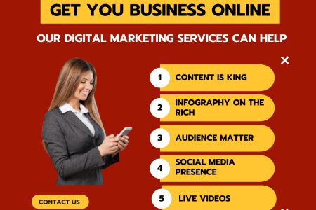 Online Business Services Infographic