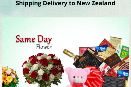 Online Order Occasions Gift Same day Free Shipping Delivery to New Zealand Infographic