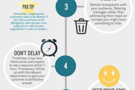 Online Reputation Management In India Infographic
