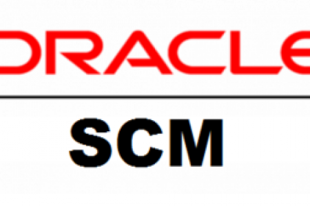 Oracle – SCM  learning in NOIDA. Infographic