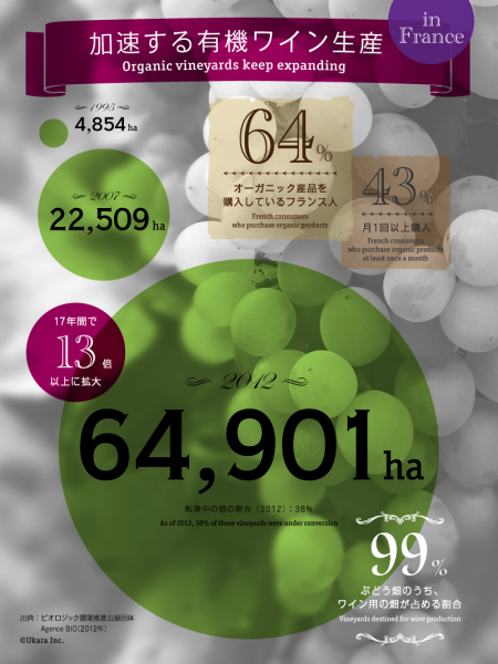 Organic vineyard keep expanding in France Infographic