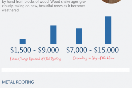 Overview of Roof Styles: Estimates Cost in United States Infographic